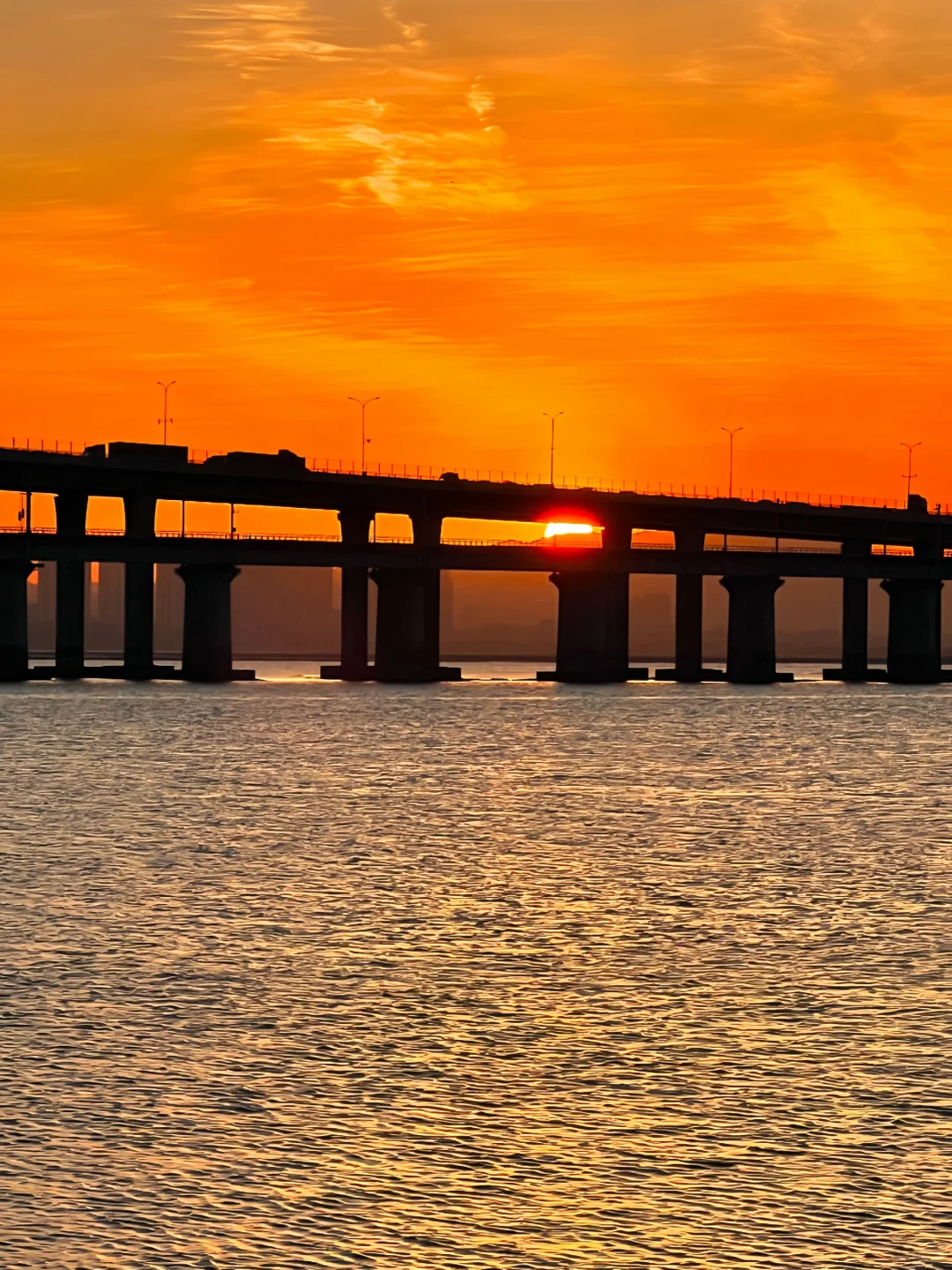 厦门｜用10张照片告诉你冬天的厦门有多美🥹