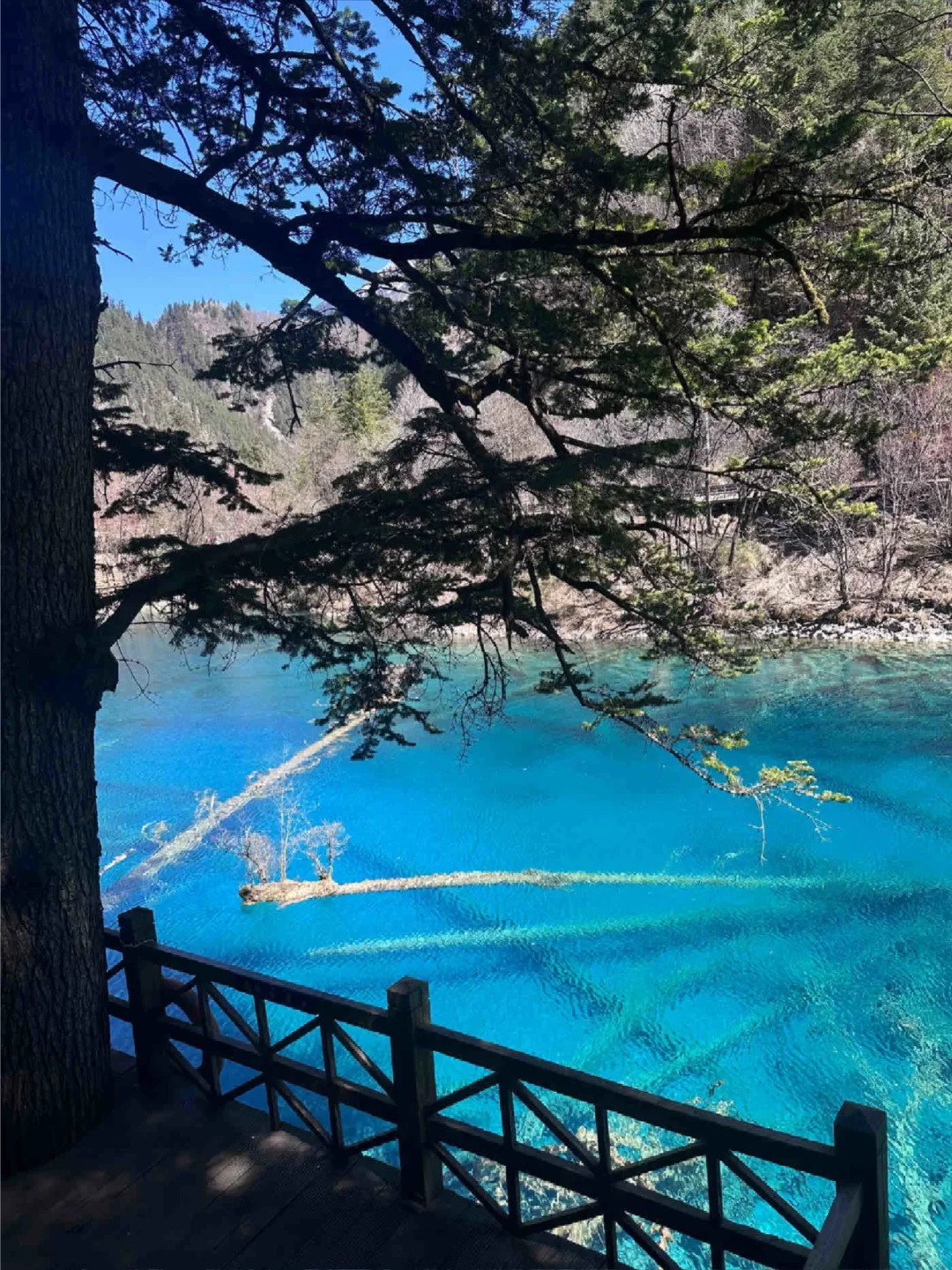 3.28📍淡季九寨沟已回，附游玩时间线