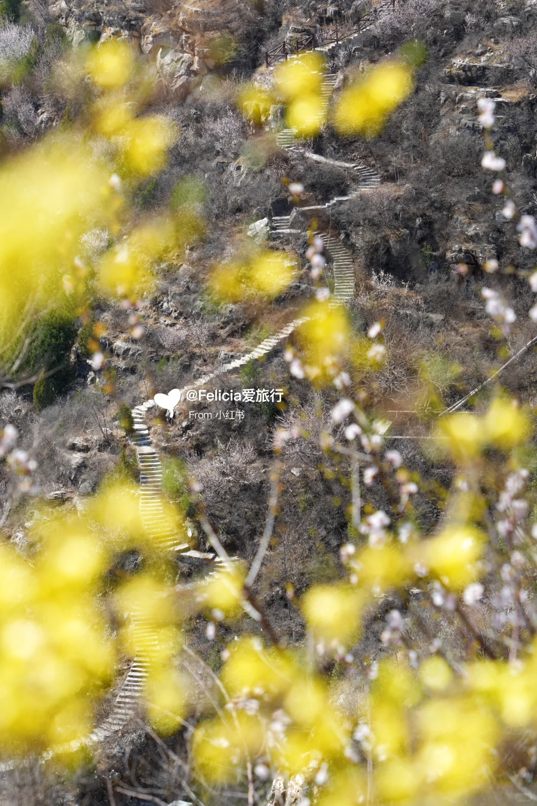 北京中山寺 | 山寺桃花始盛开🌸徒步赏花💯