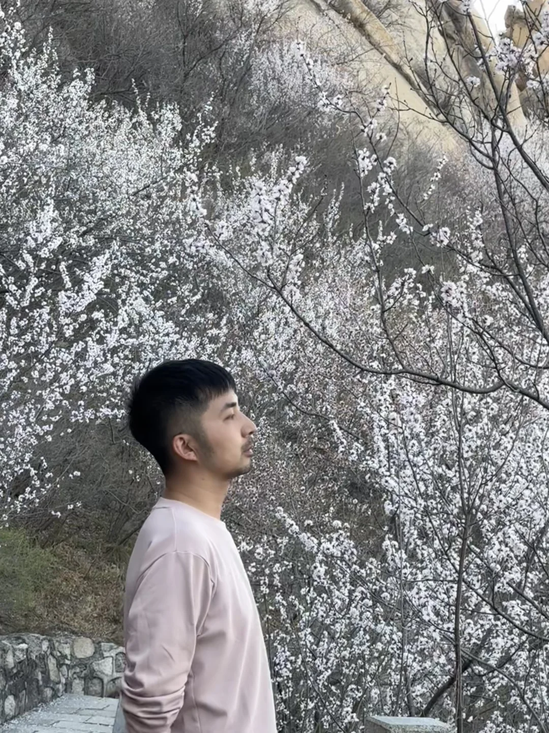 真正的春光敢于无滤镜直出live photo