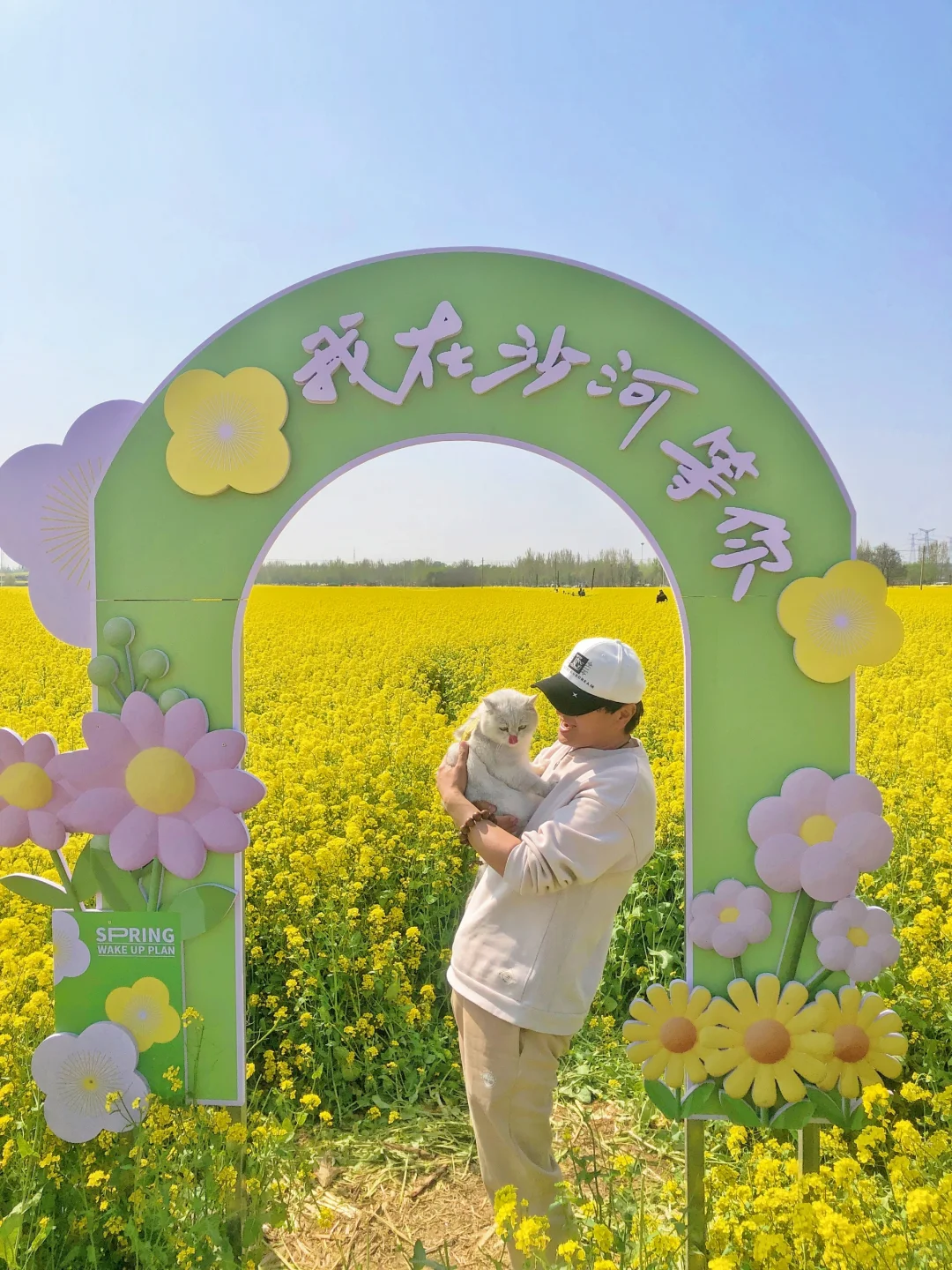 邯郸周边游：金沙河红薯岭万亩油菜花