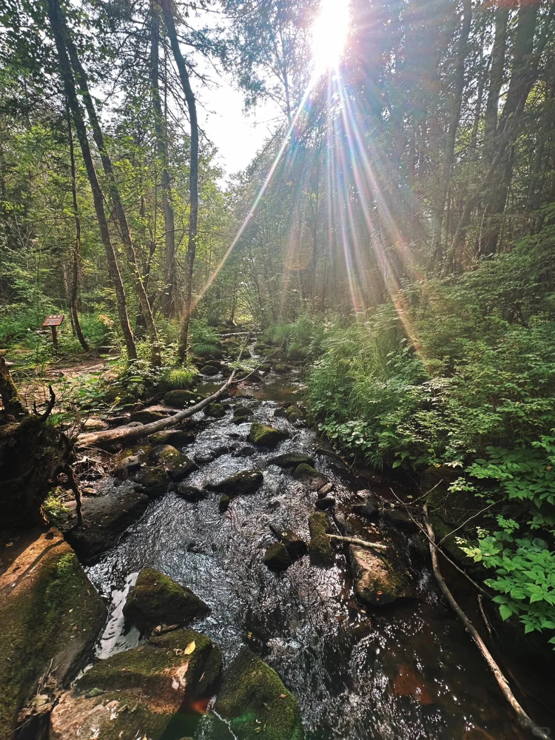 不用去新疆，北方这里也有属于新疆的阿勒泰