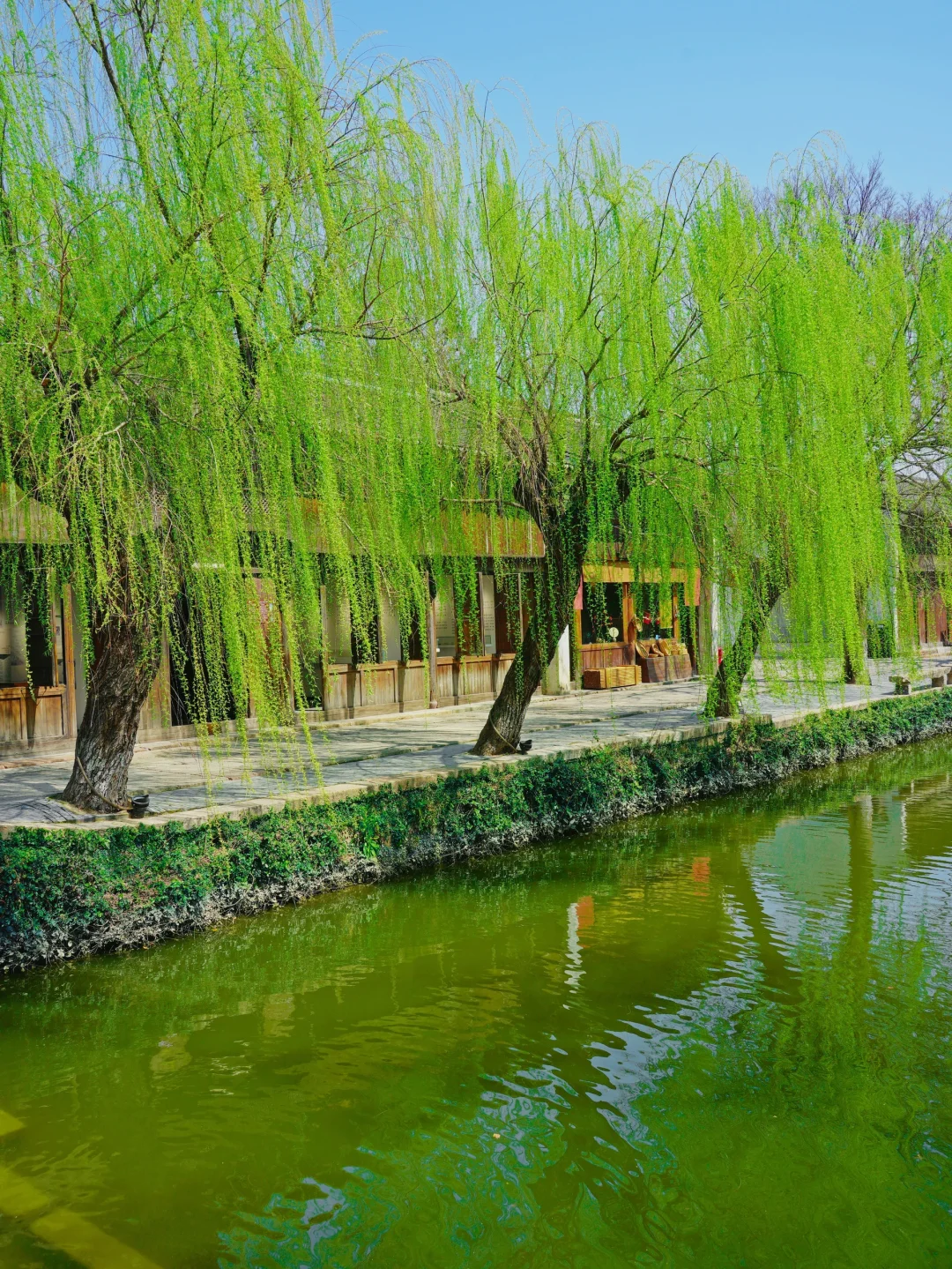 我很少用“潮”来形容一座小众古城！