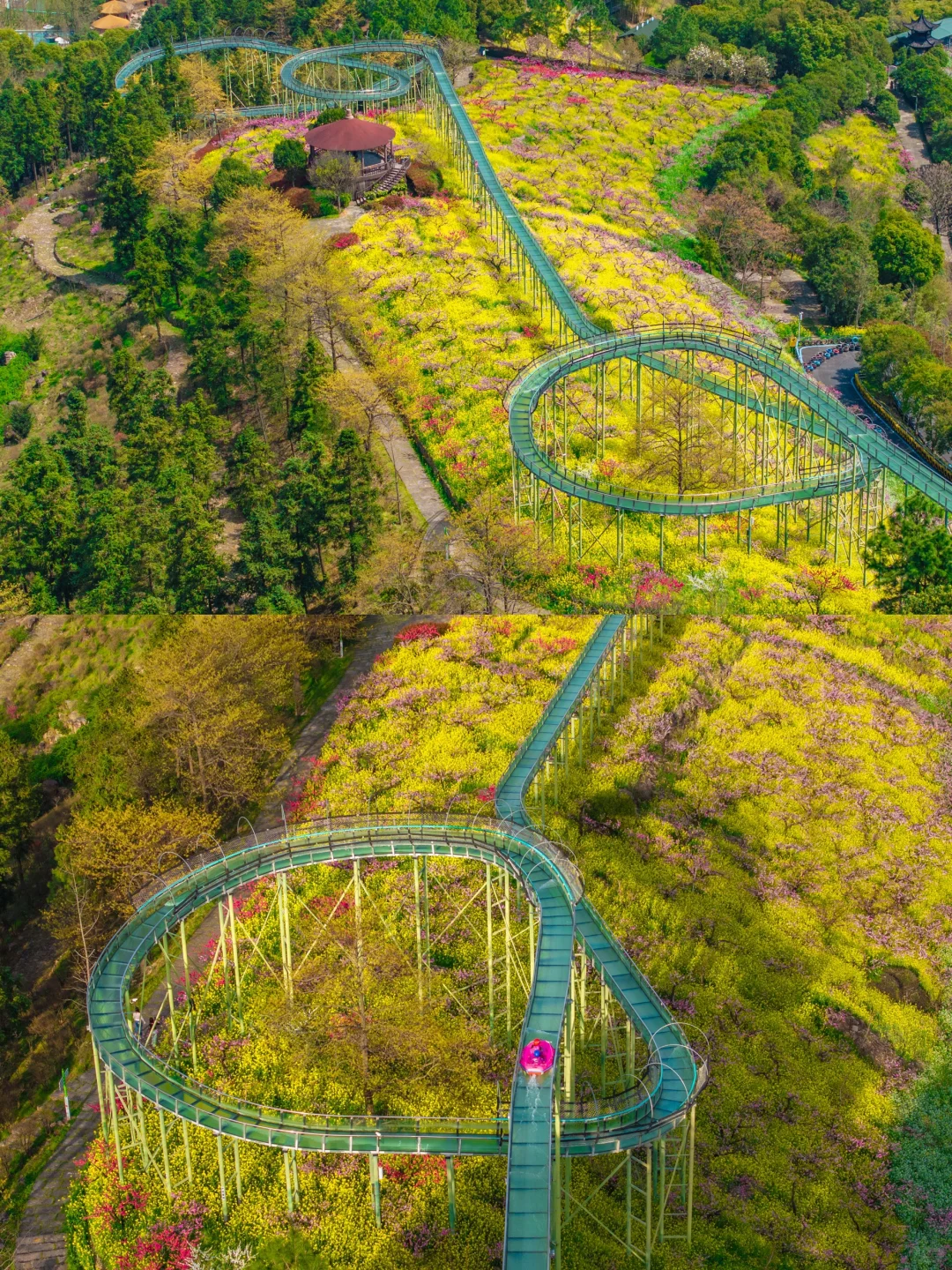 在小红书跟风最成功的一次‼️湖州小众花海