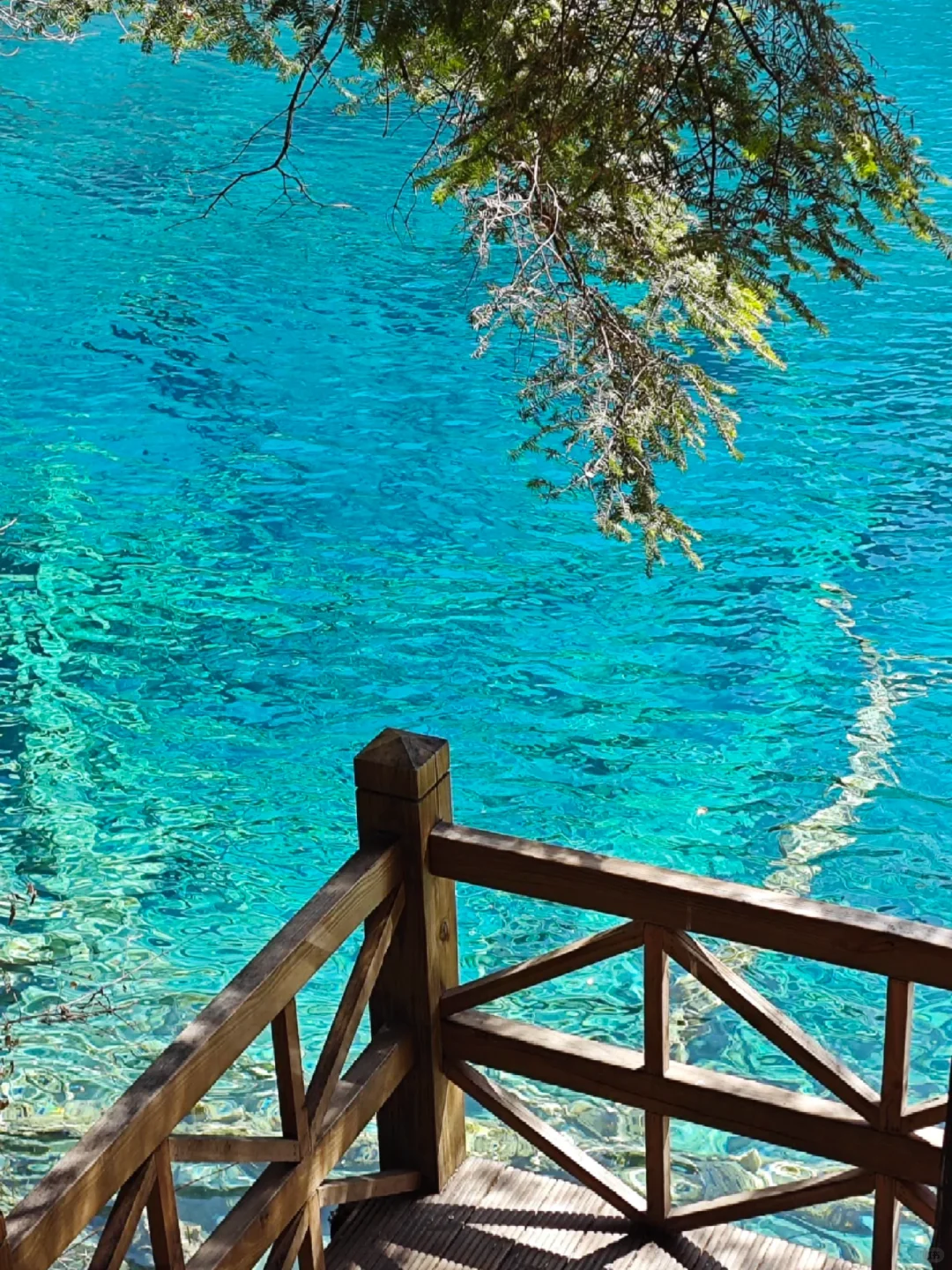 3.28📍淡季九寨沟已回，附游玩时间线