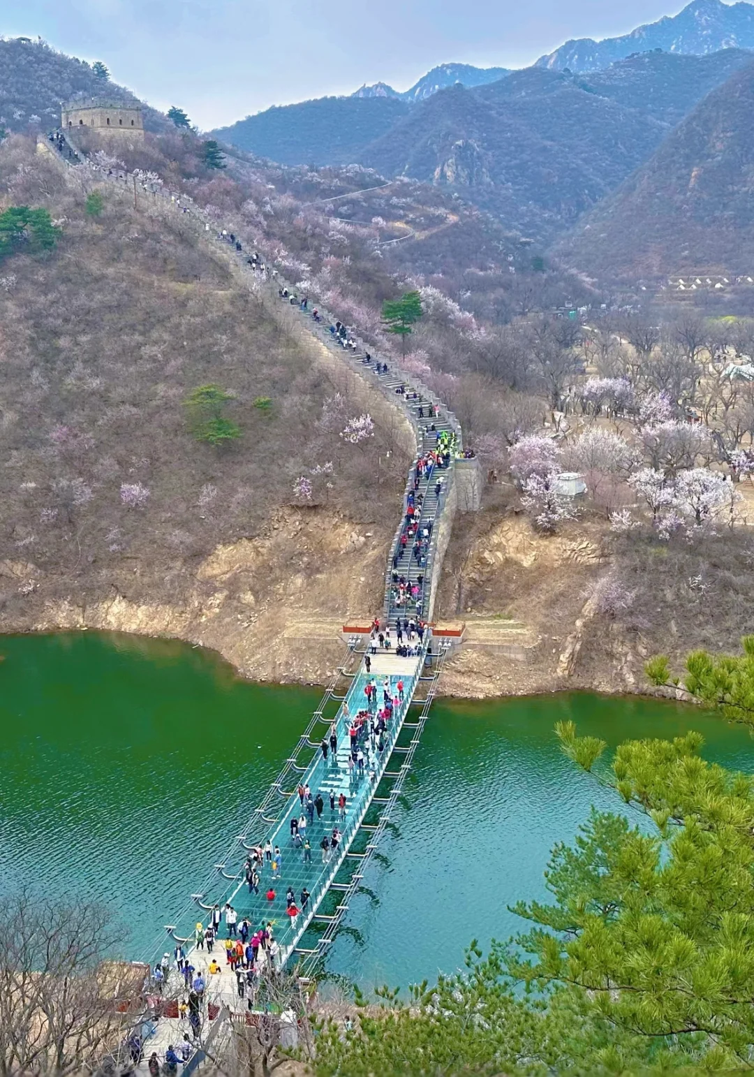 终于明白为什么都推荐黄花城水长城了