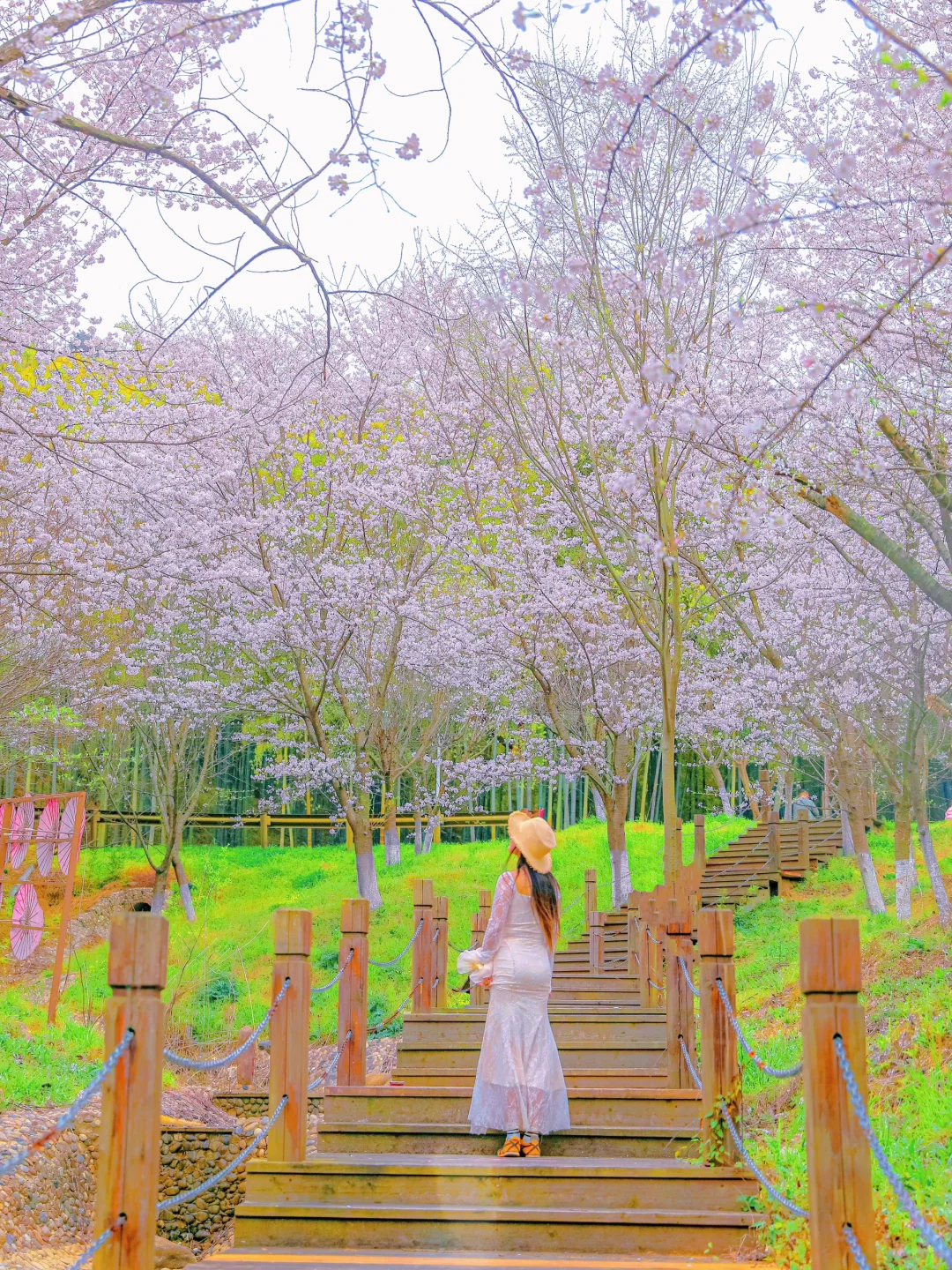 江苏，你不宣传这里，你糊涂啊！