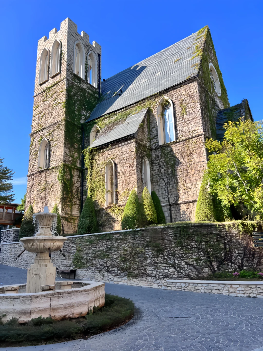 厦门｜用10张照片告诉你冬天的厦门有多美🥹
