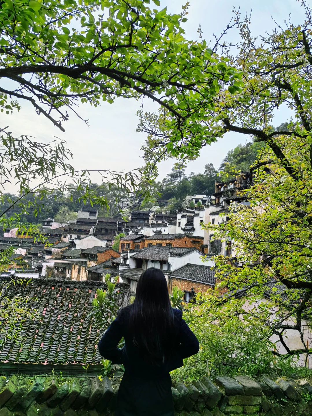 江西-上饶-婺源๑>ᴗO๑