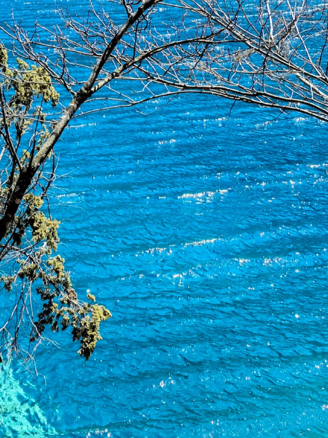 3.28📍淡季九寨沟已回，附游玩时间线