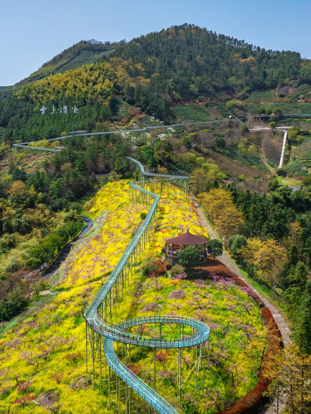 在小红书跟风最成功的一次‼️湖州小众花海