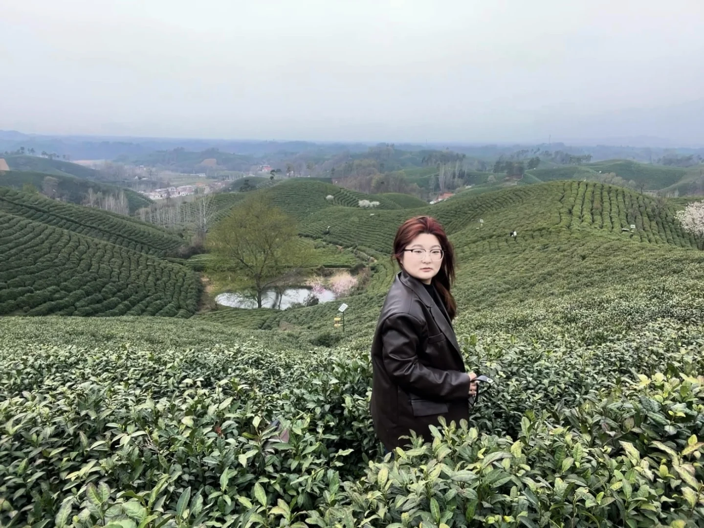 来文新茶村 看中国茶海🍃