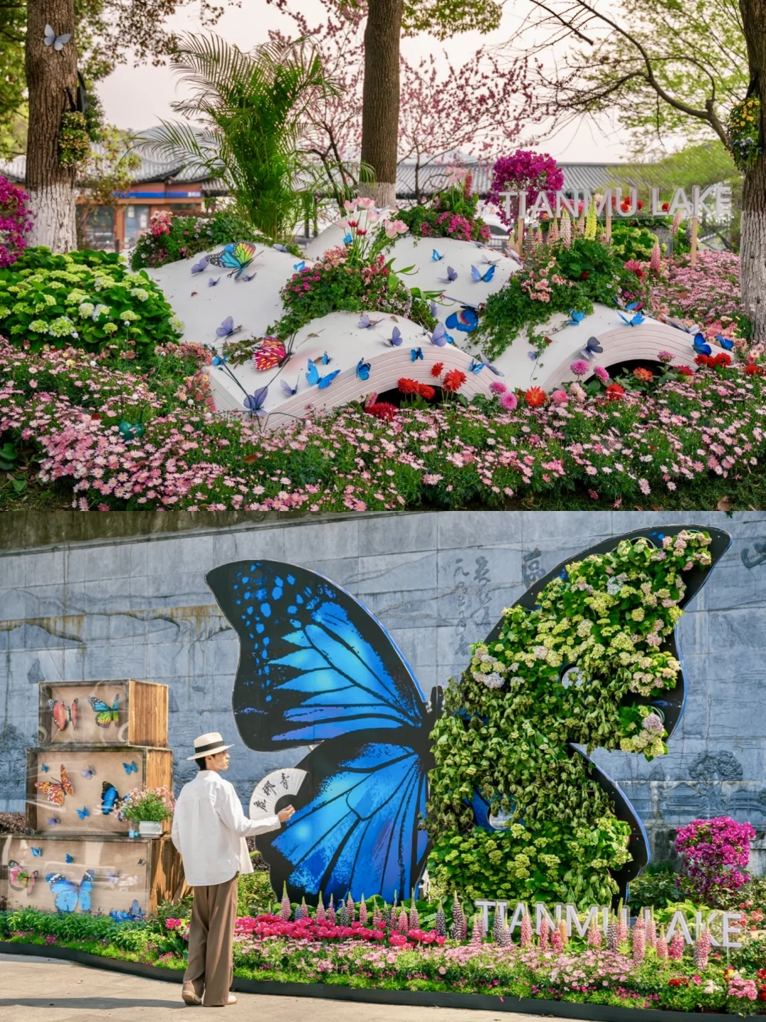 以为千岛湖够美了，直到我去了溧阳天目湖❗