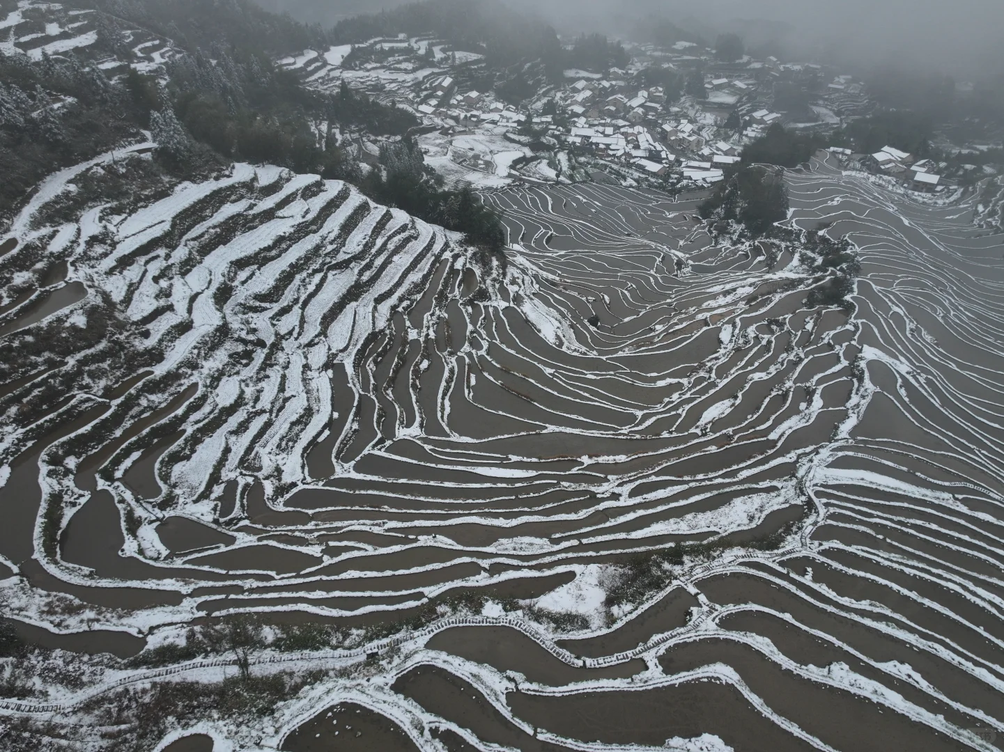 2025年春天的第一场雪❄️就在昨天！