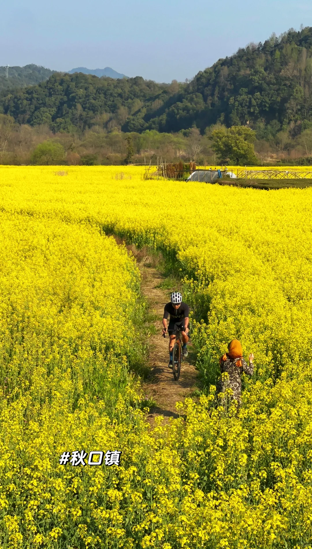 一日看尽婺源花:油菜花海骑游全攻略
