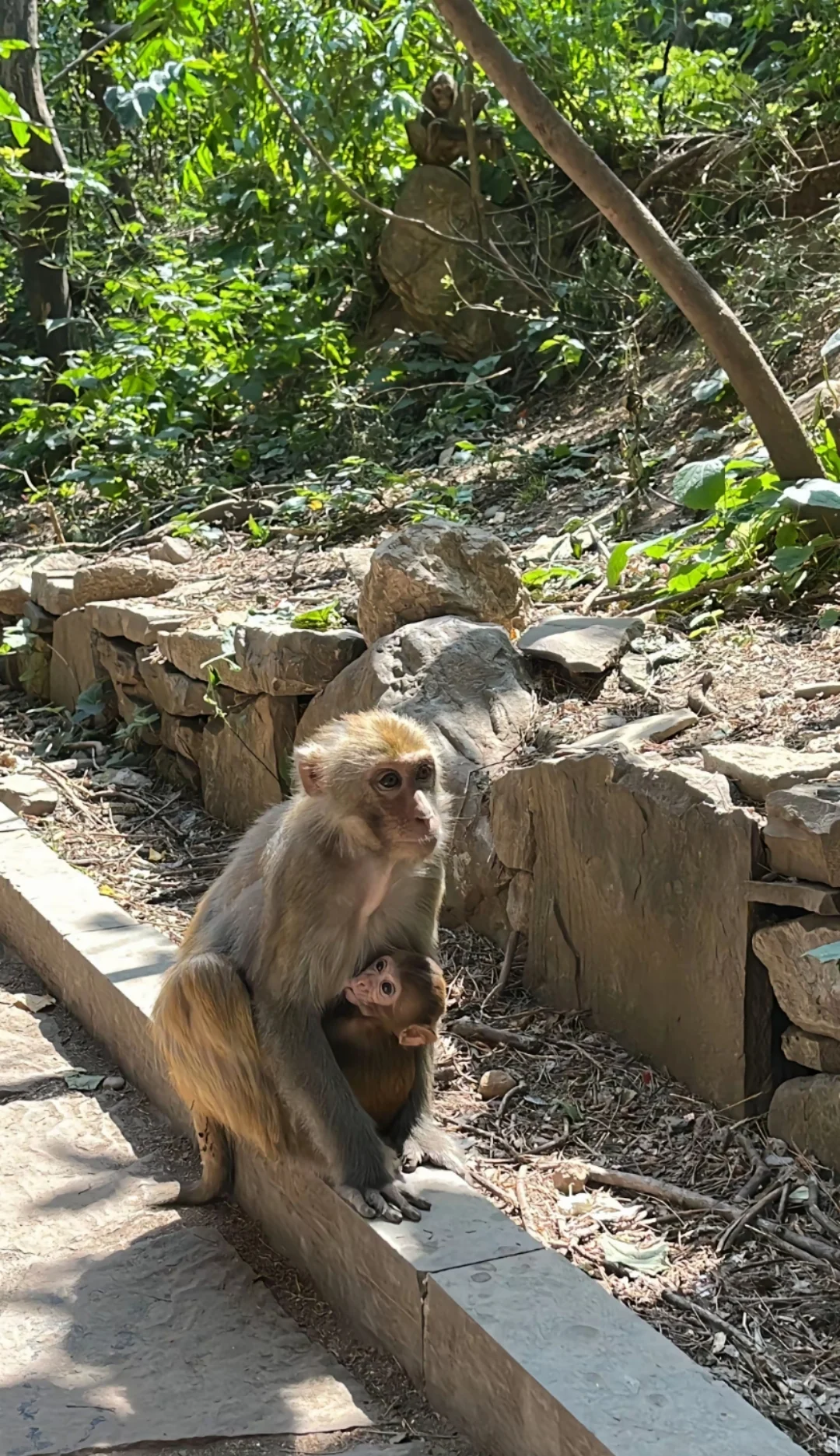 邯郸到通天峡一日游，邯郸周边一日游