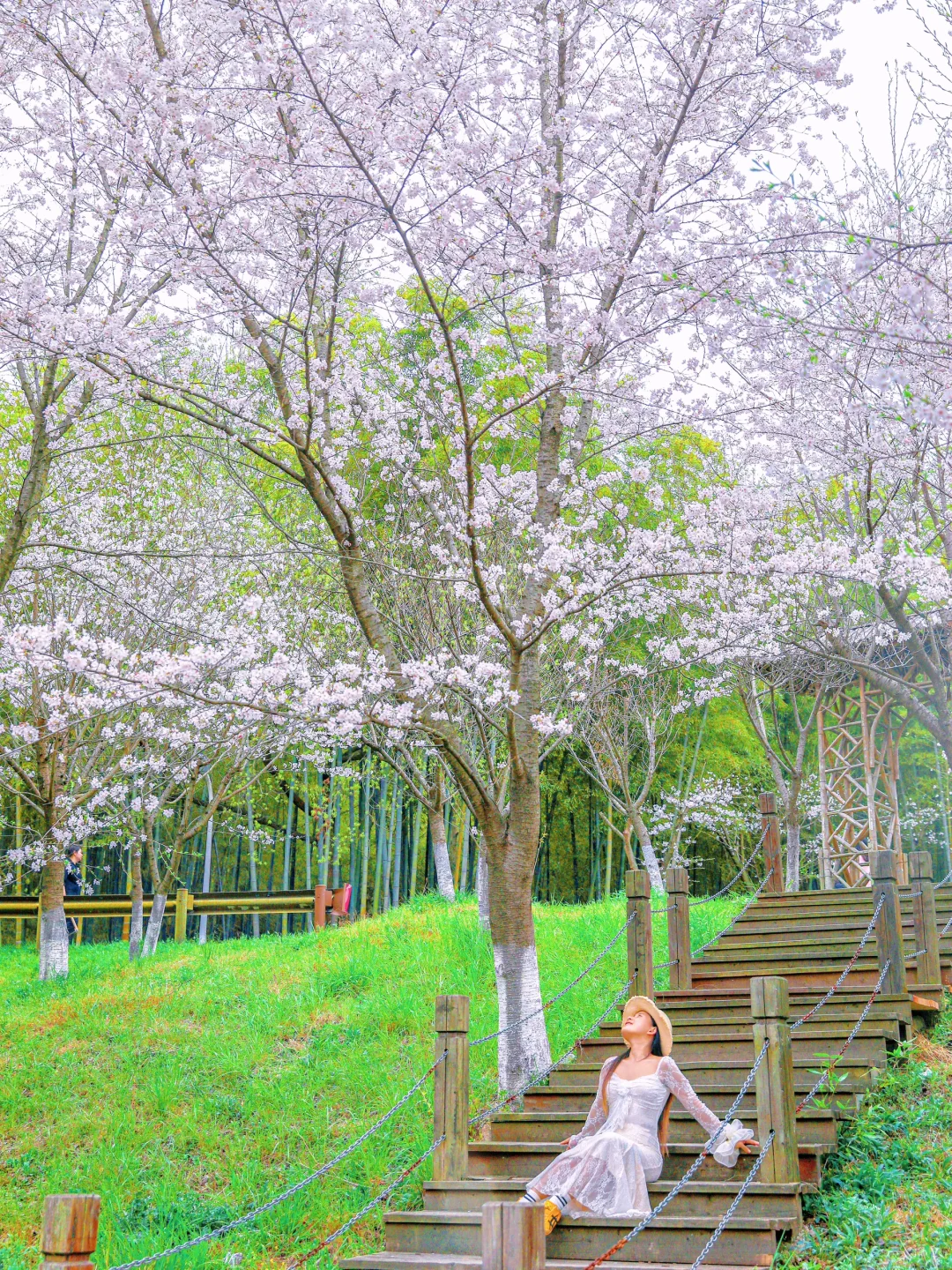 江苏，你不宣传这里，你糊涂啊！