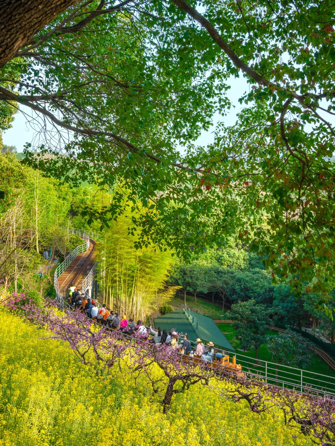 在小红书跟风最成功的一次‼️湖州小众花海