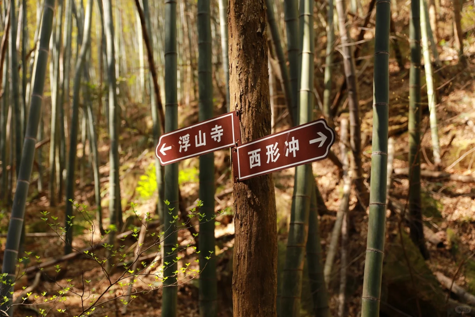 4.5 西行古道徒步，响水涧赏水上花海