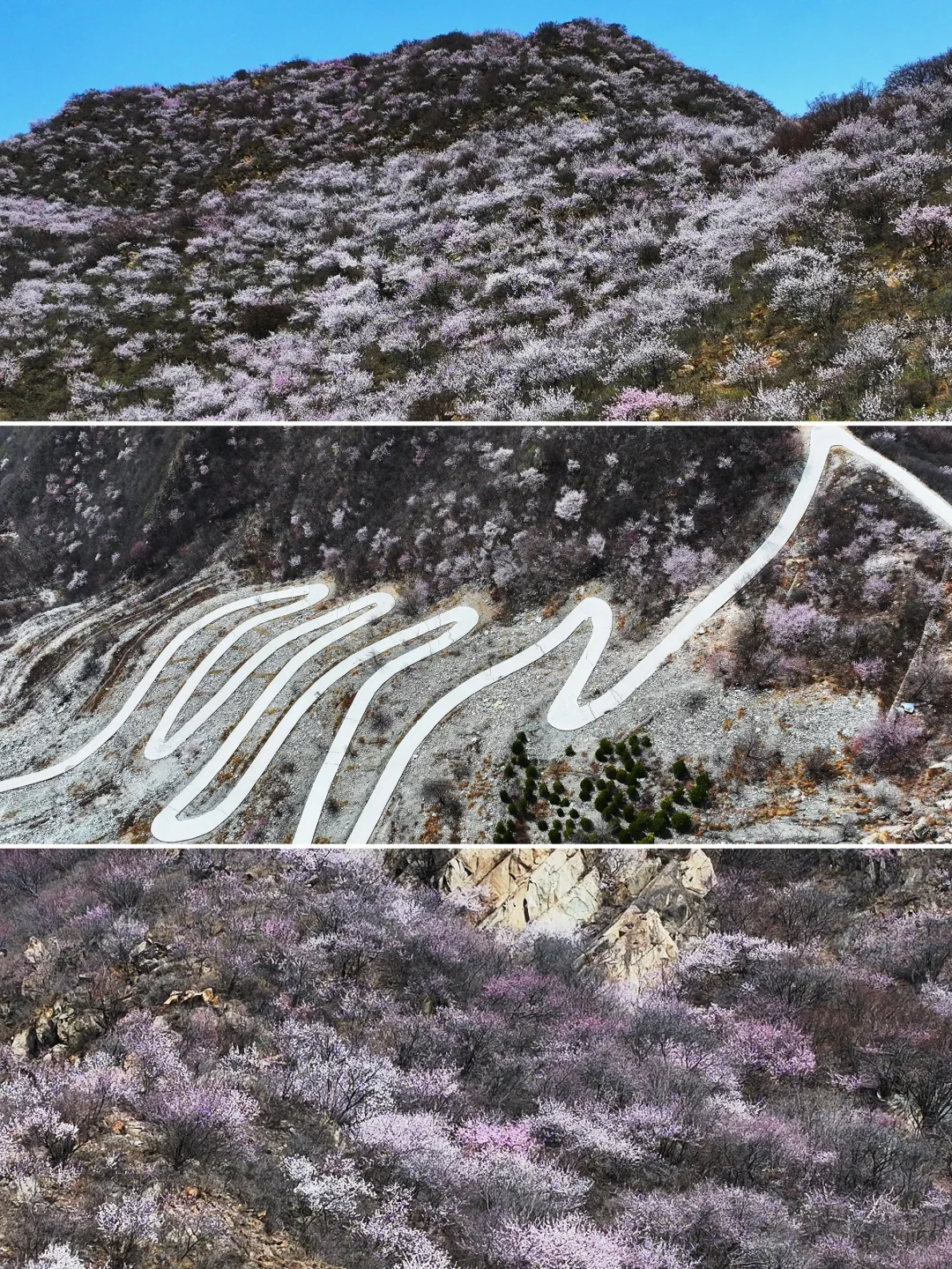 3.23实拍 | 在房山，幽岚山深处的桃花源！