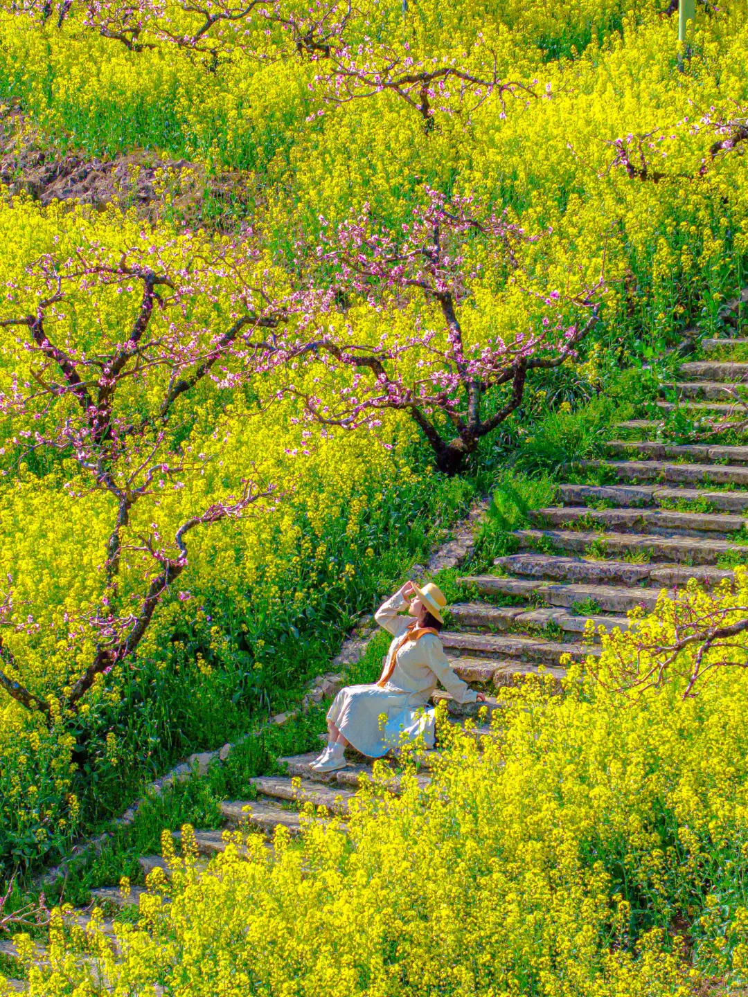 可惜你不来湖州，不知道满坡的花海有多美🌼