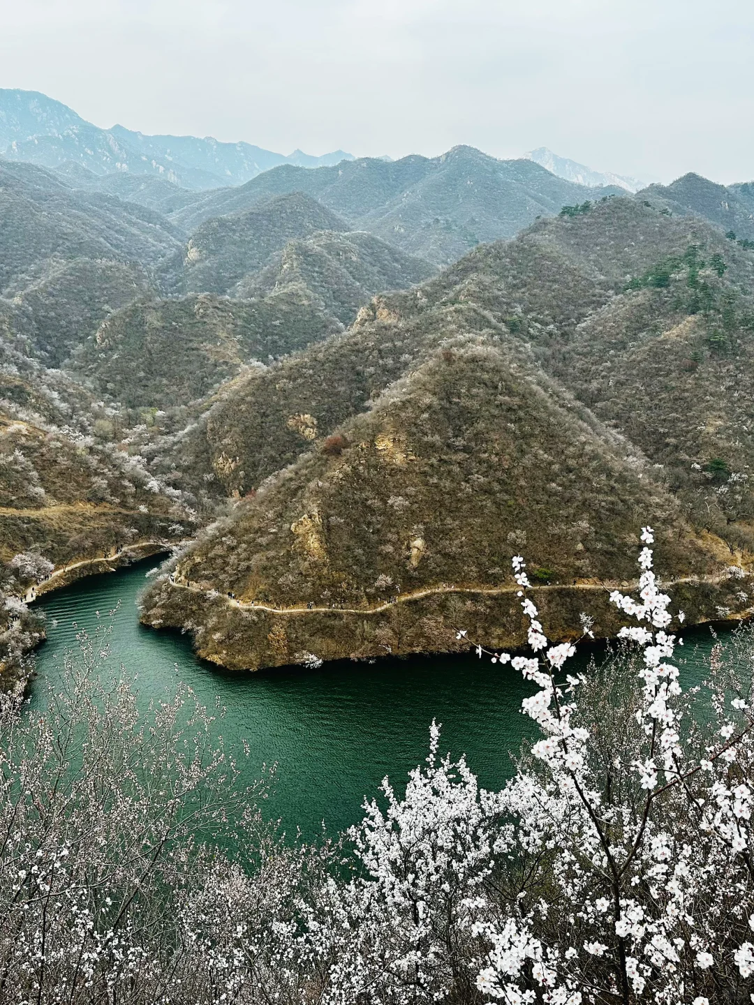 终于明白为什么都推荐黄花城水长城了