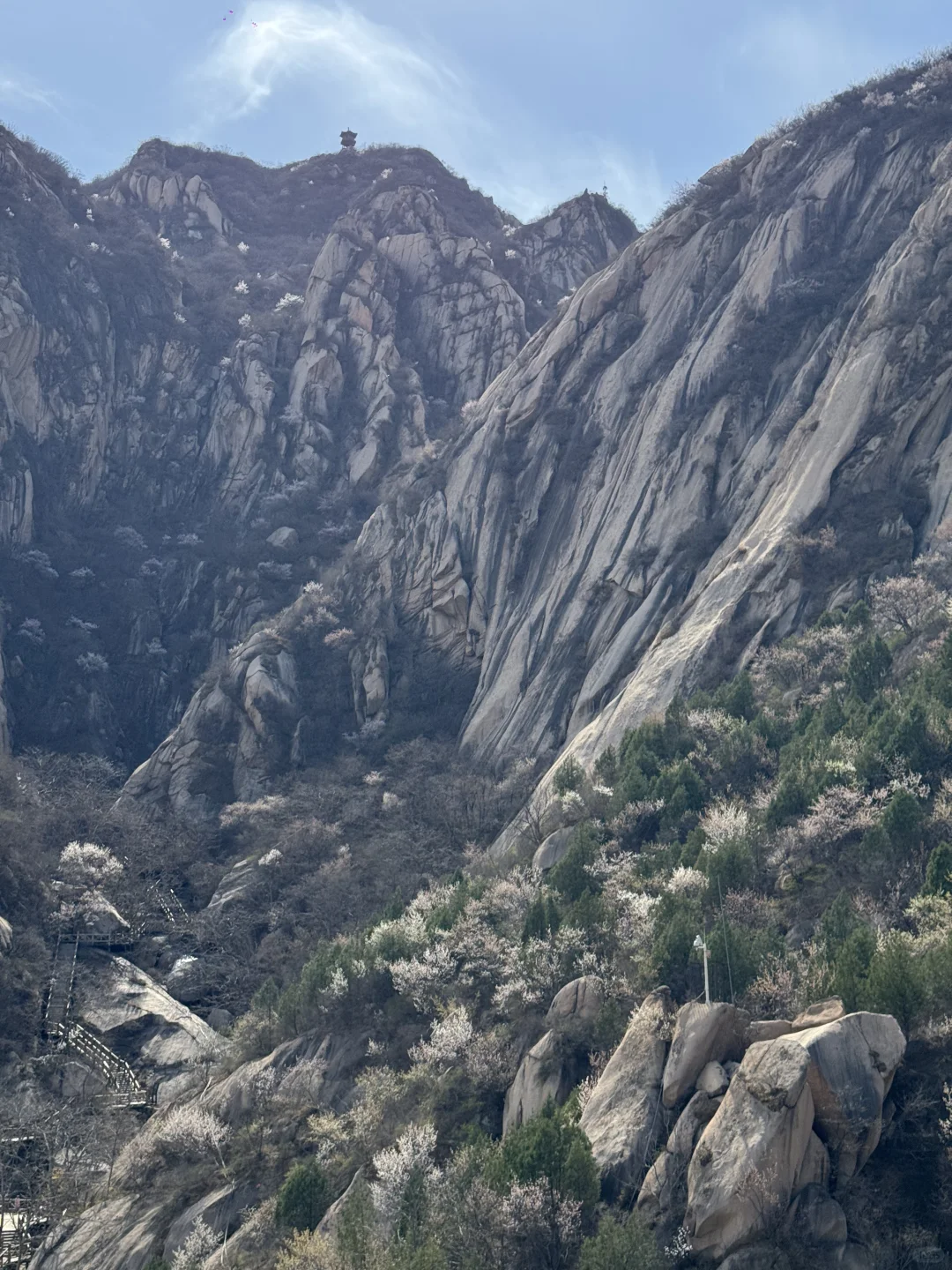 真正的春光敢于无滤镜直出live photo