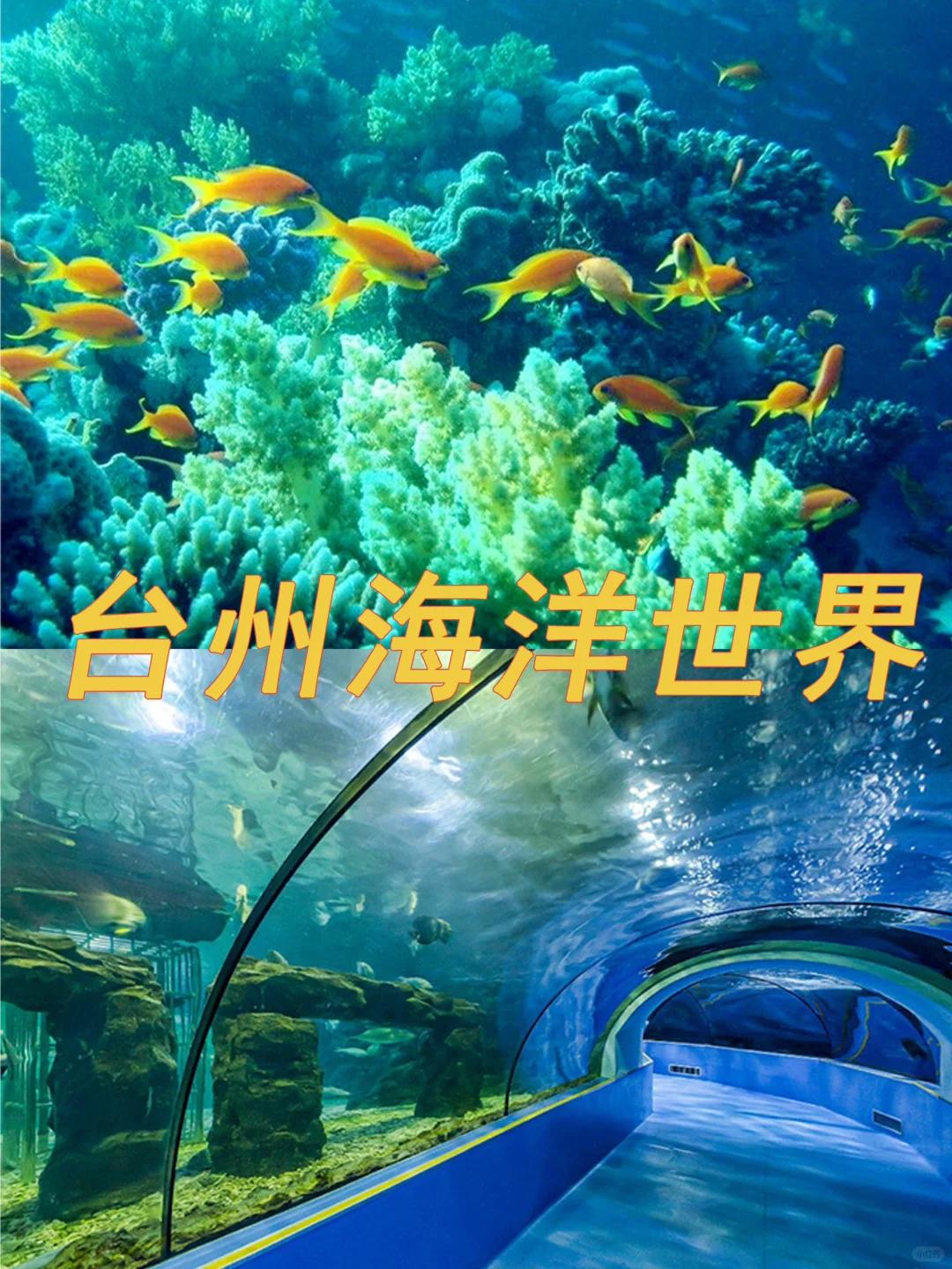 真的有一种误入仙境的美！台州全解析