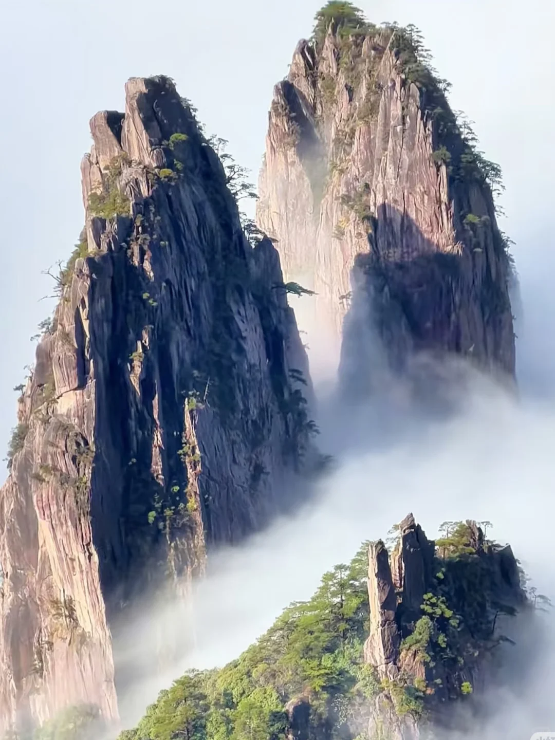 黄山是我第一次用“震撼”形容的地方