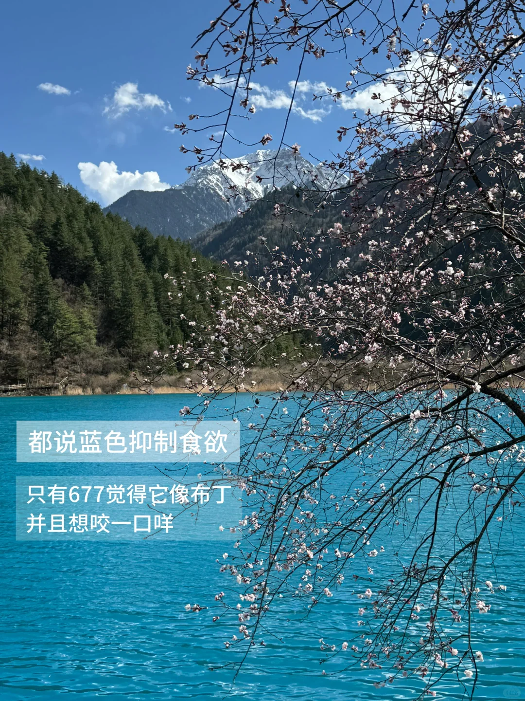 你一句青春没有售价…