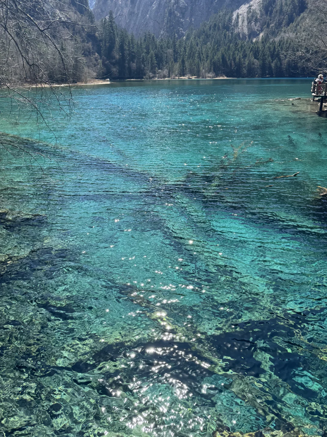 你一句青春没有售价…