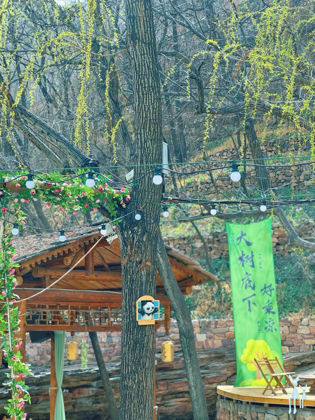 Plog🍚出来玩最重要的就是干饭啊（实话篇）