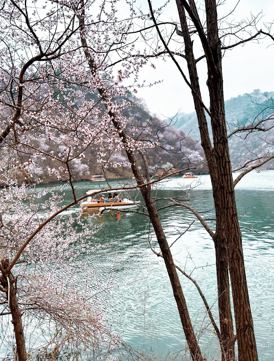 终于明白为什么都推荐黄花城水长城了