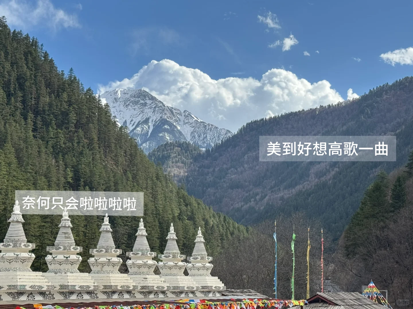 你一句青春没有售价…