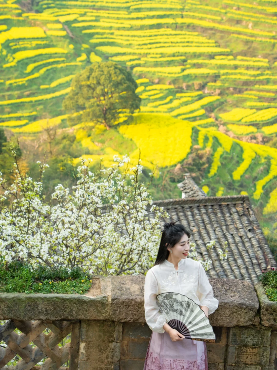 接下来的婺源篁岭🌼是漫山遍野的油菜花海‼️
