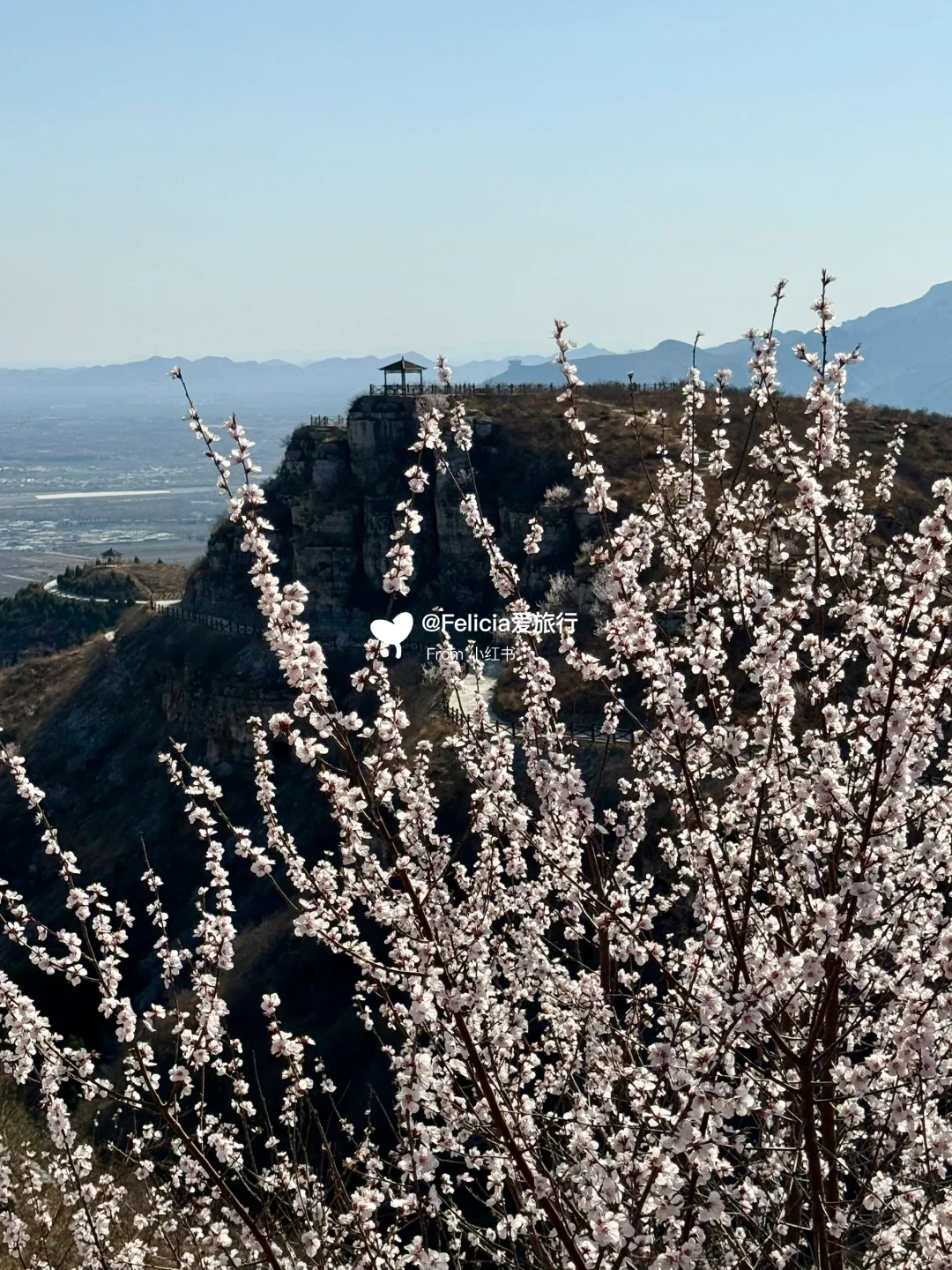 北京中山寺 | 山寺桃花始盛开🌸徒步赏花💯