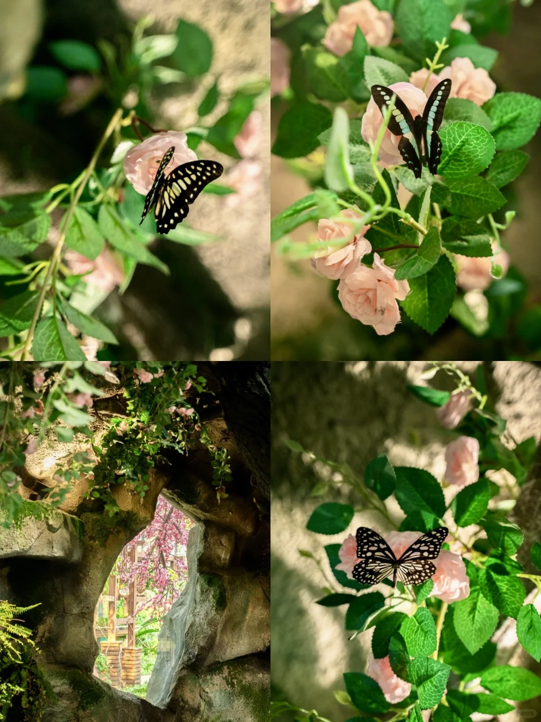 以为千岛湖够美了，直到我去了溧阳天目湖❗