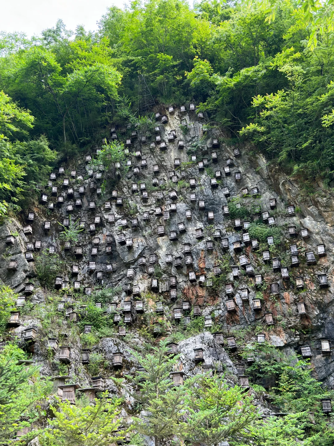 神农架｜探索野人之谜