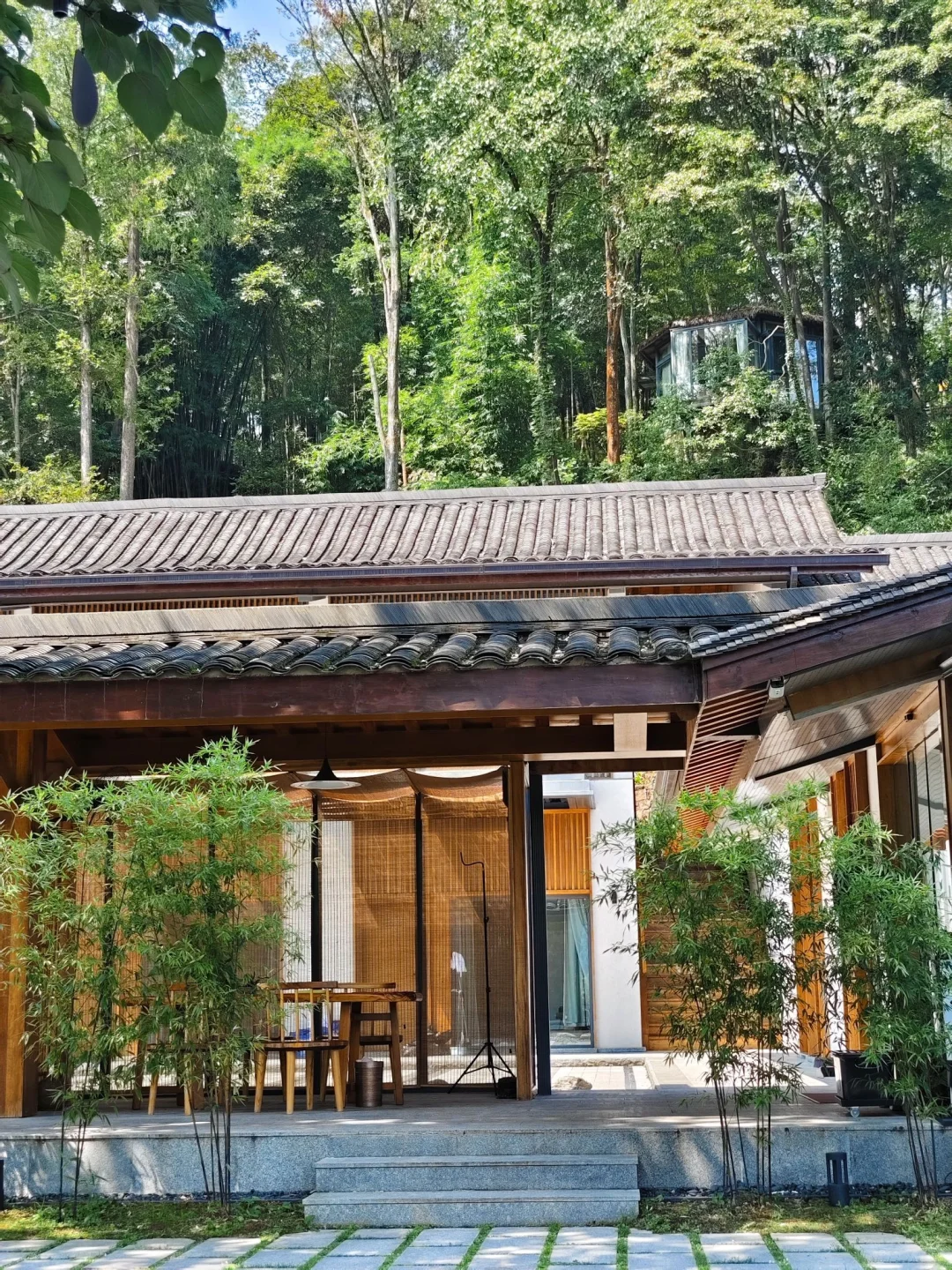 成都!青城山!树景房好city呀!美哭了