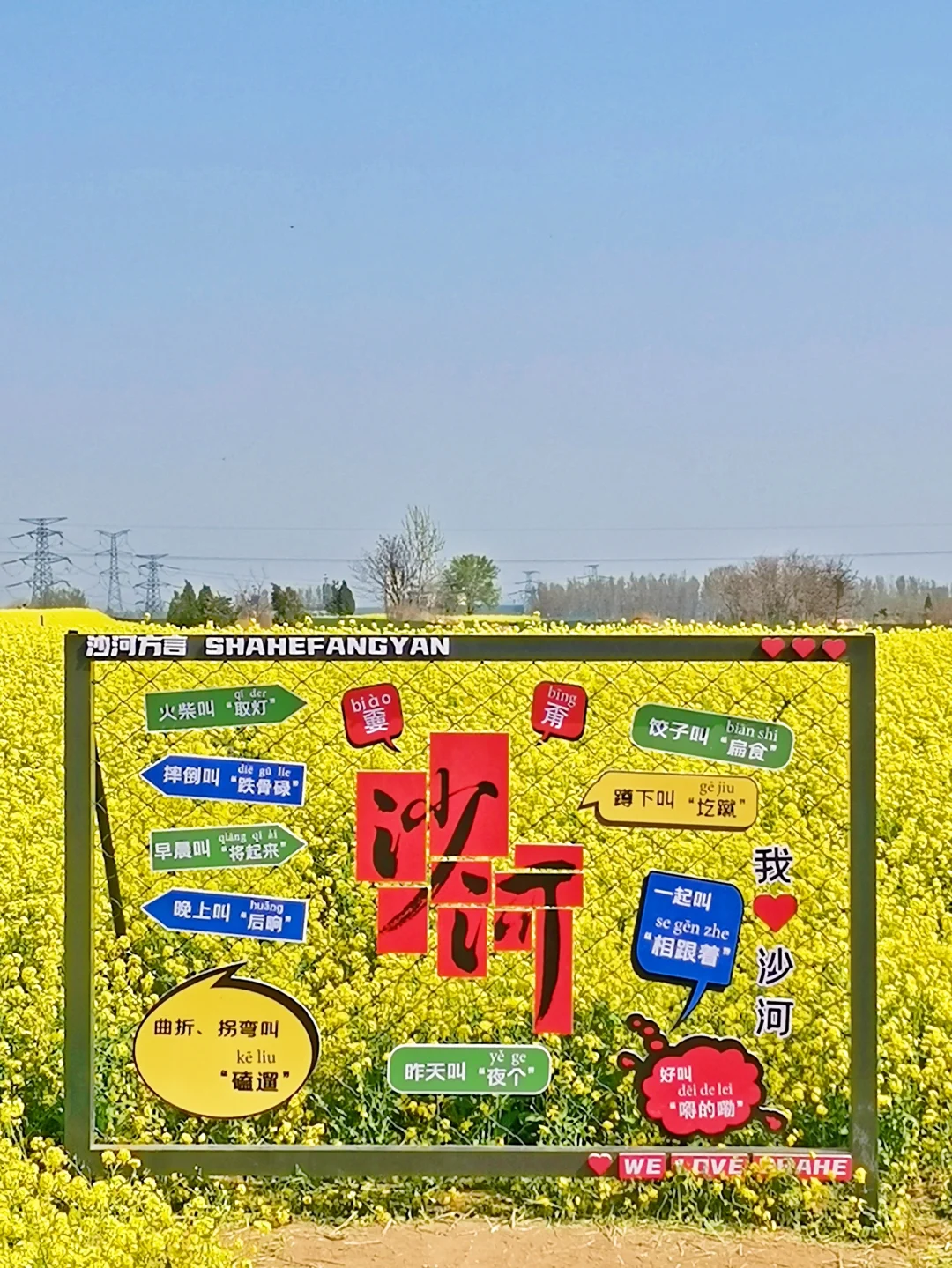 邯郸周边游：金沙河红薯岭万亩油菜花