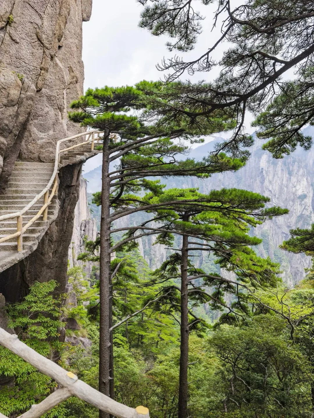 黄山是我第一次用“震撼”形容的地方