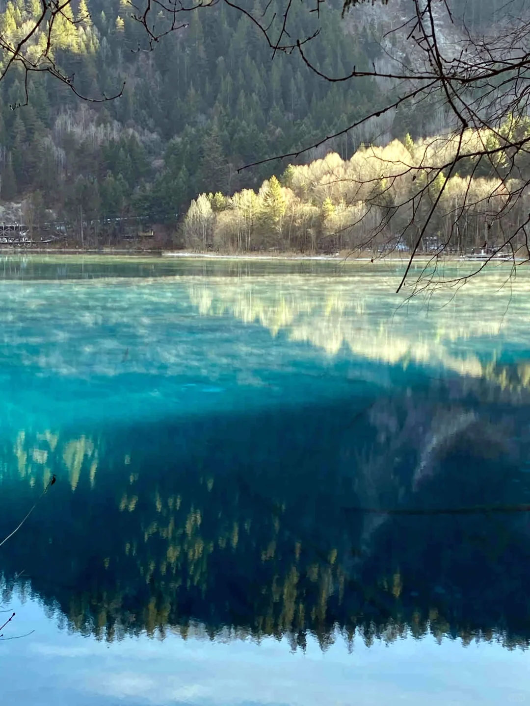 3.20|九寨沟现状!!闯入了动物世界,附攻略