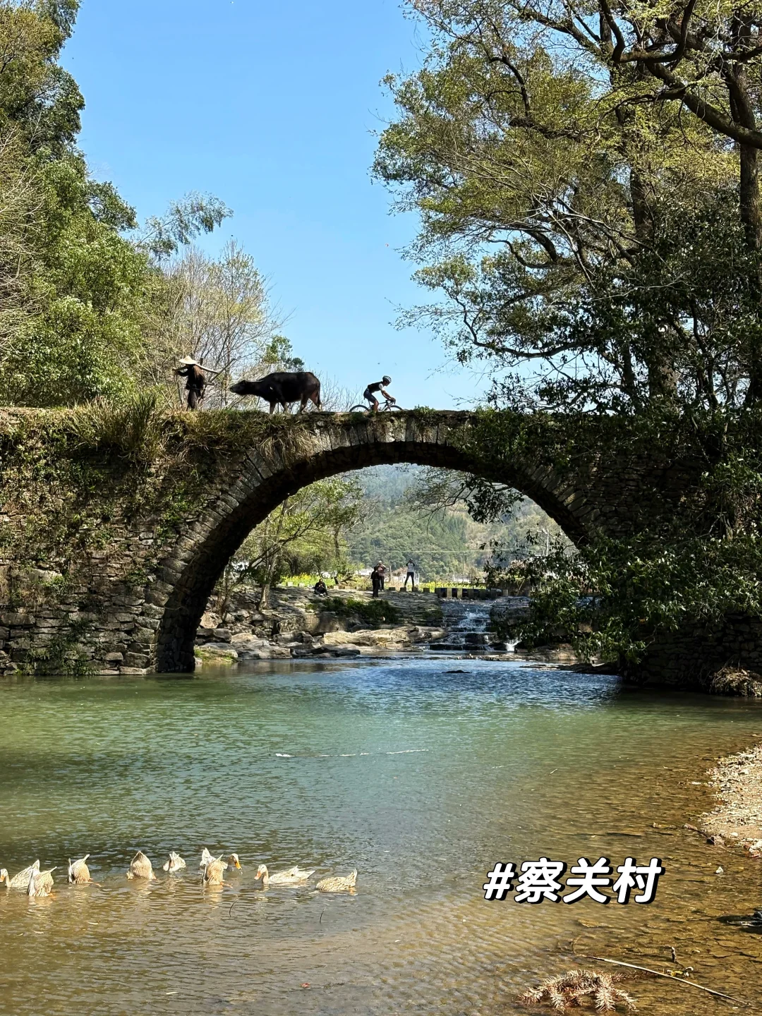 一日看尽婺源花:油菜花海骑游全攻略