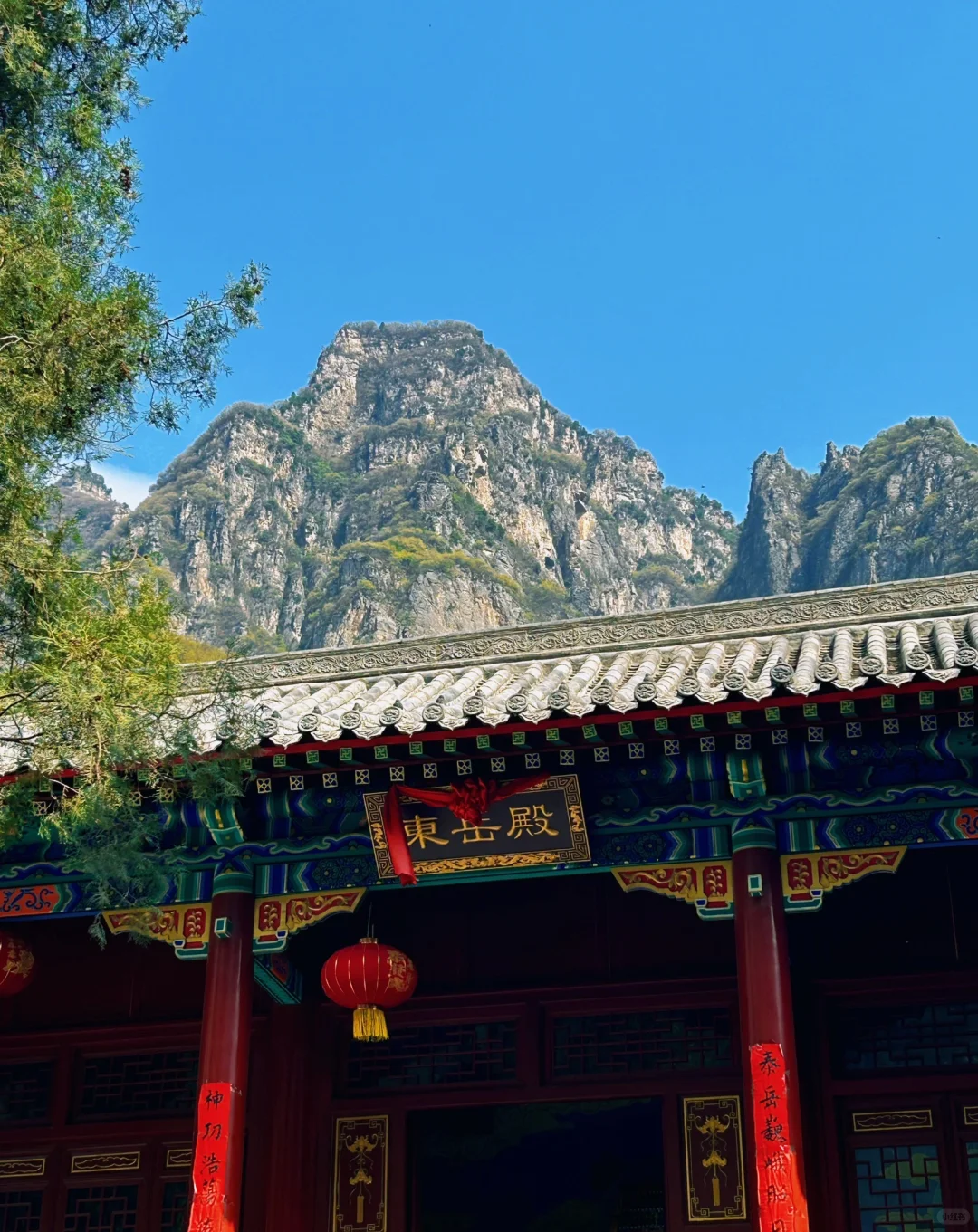 还有多少沁阳人没来过二仙庙？