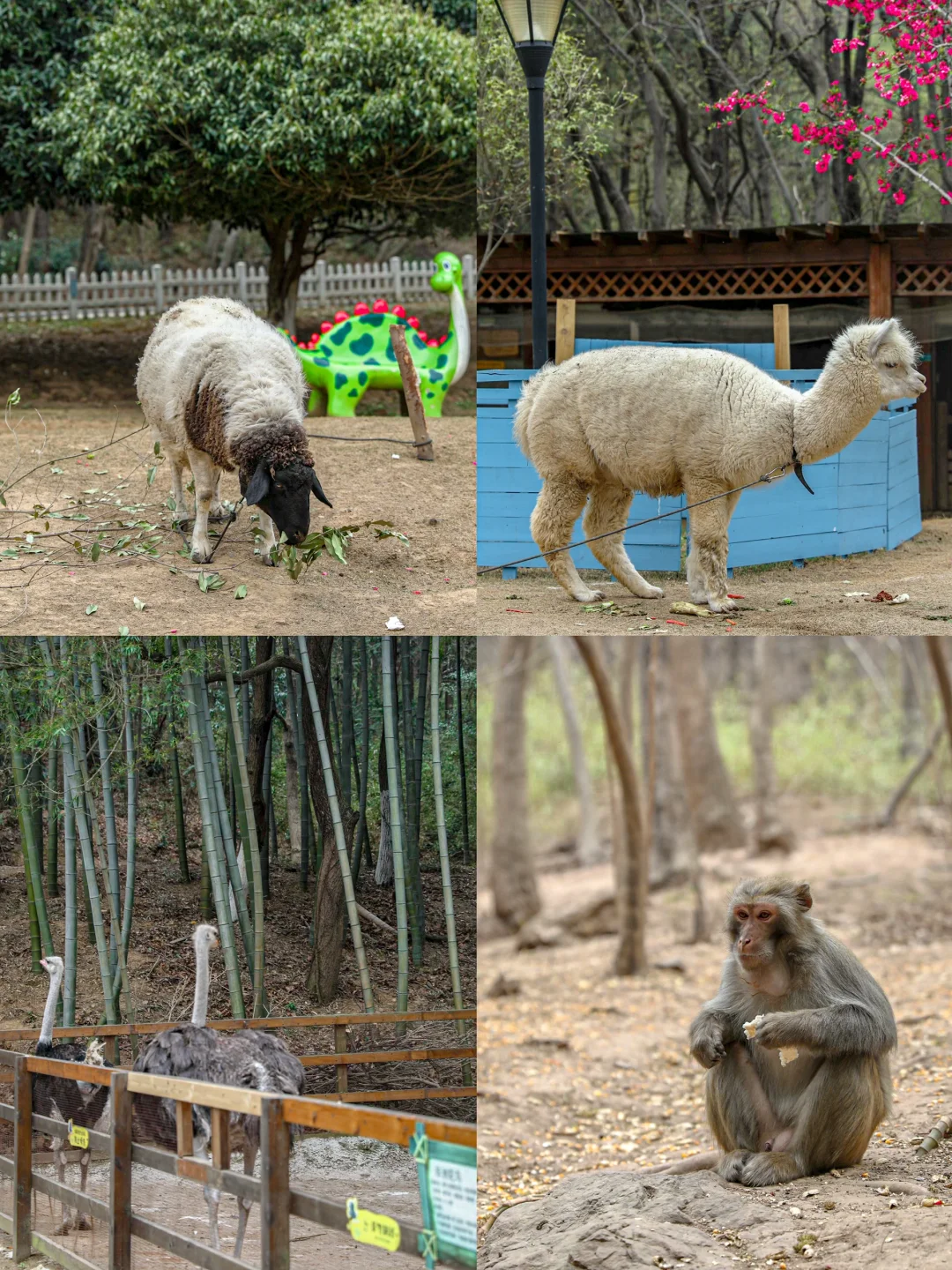 江苏，你不宣传这里，你糊涂啊！