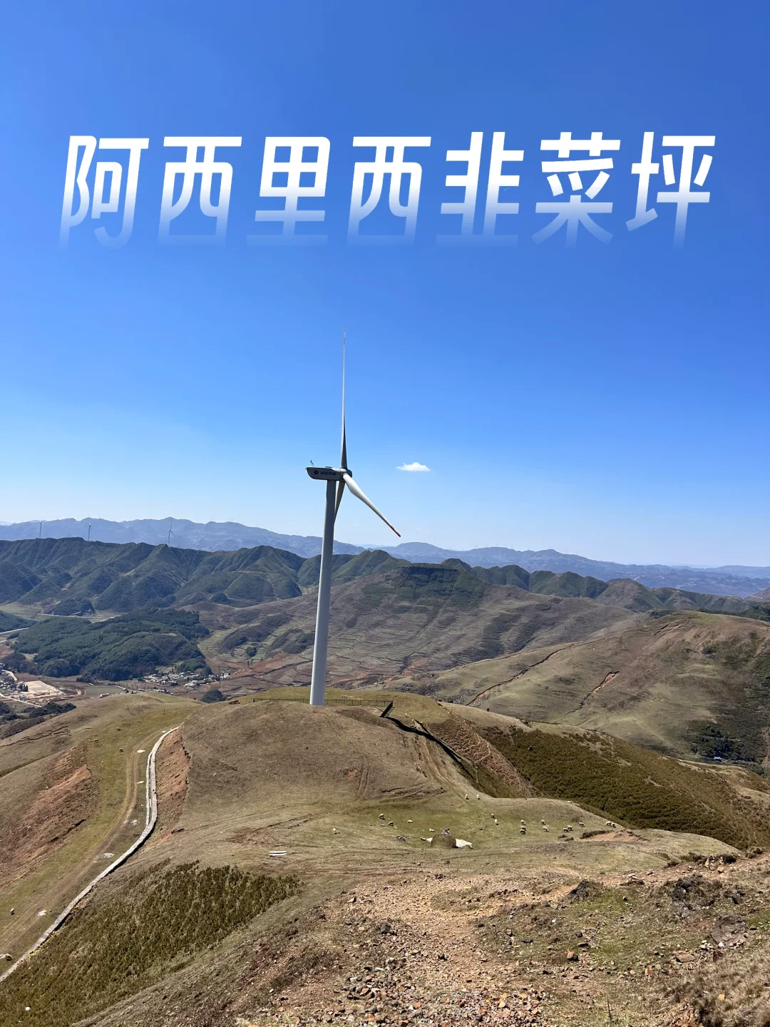 没遇到景区最美的时候怎么办