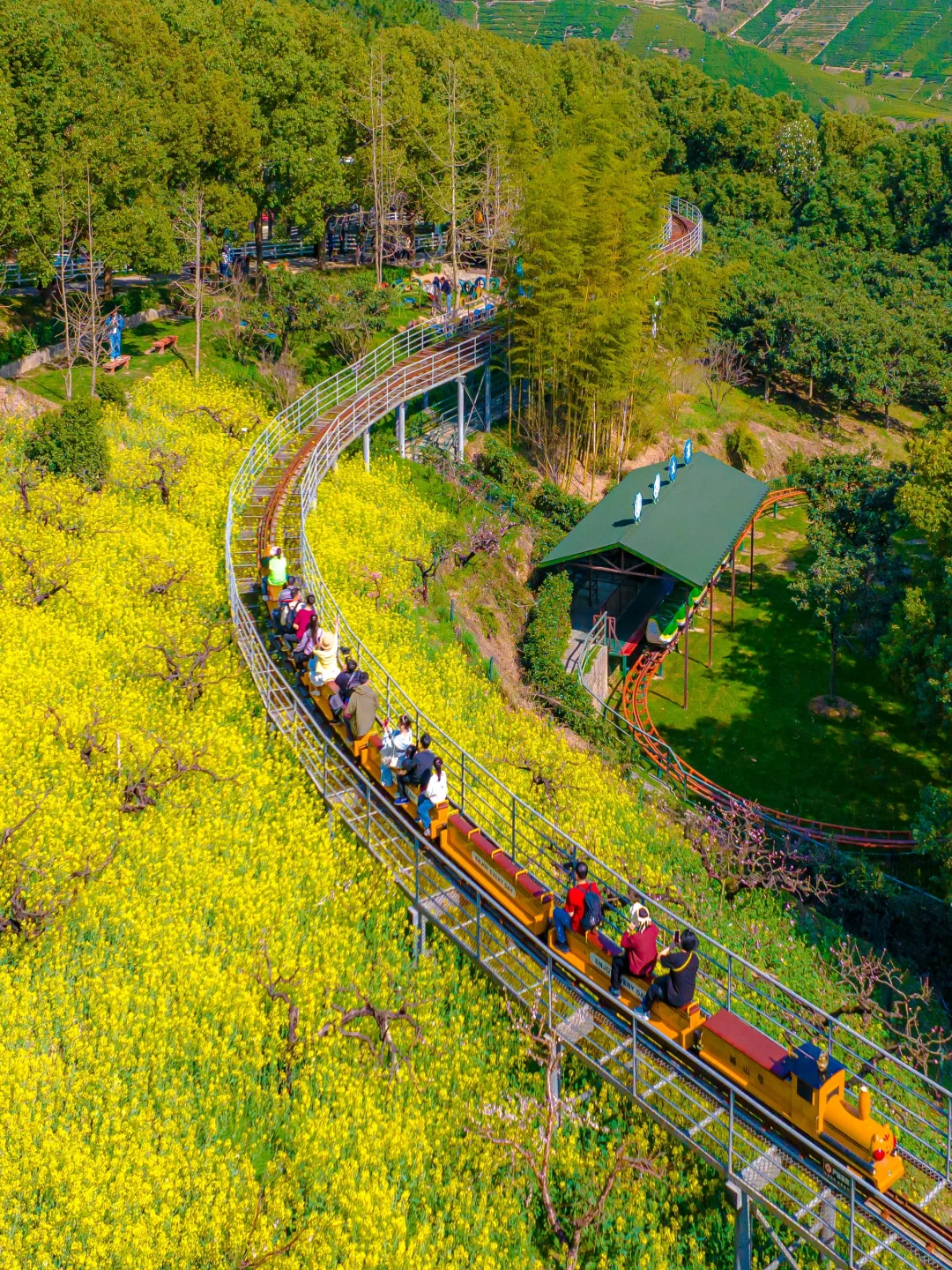 可惜你不来湖州，不知道满坡的花海有多美🌼