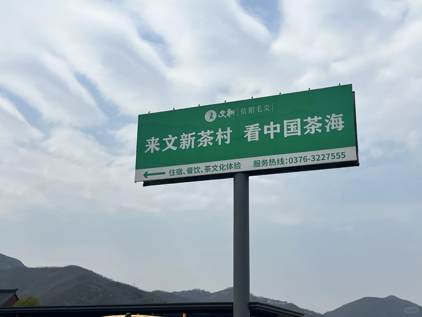 来文新茶村 看中国茶海🍃