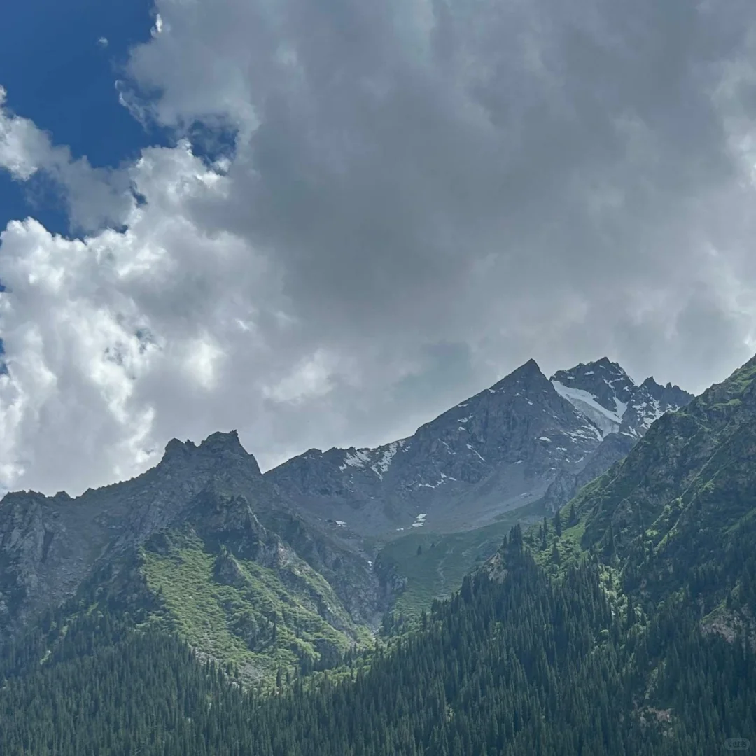 新疆包车，真诚靠谱