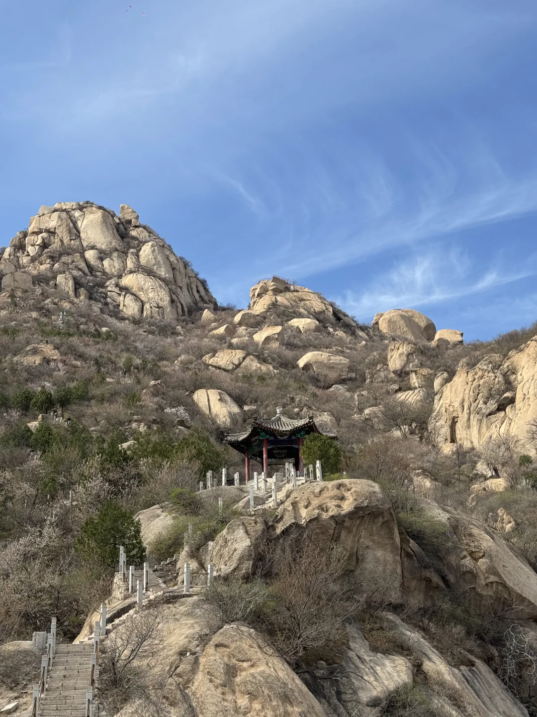 真正的春光敢于无滤镜直出live photo